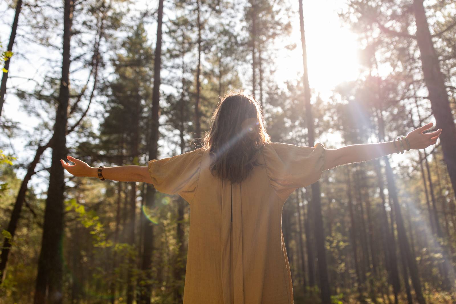 Atelier HEMERA, la puissance de la géométrie sacrée